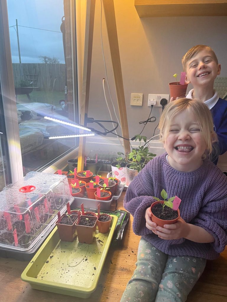 Growing veg in a small space