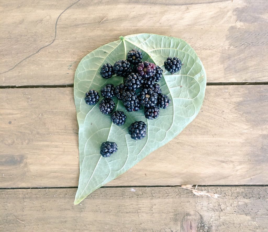 Counting out fruit is a great outdoor maths activities