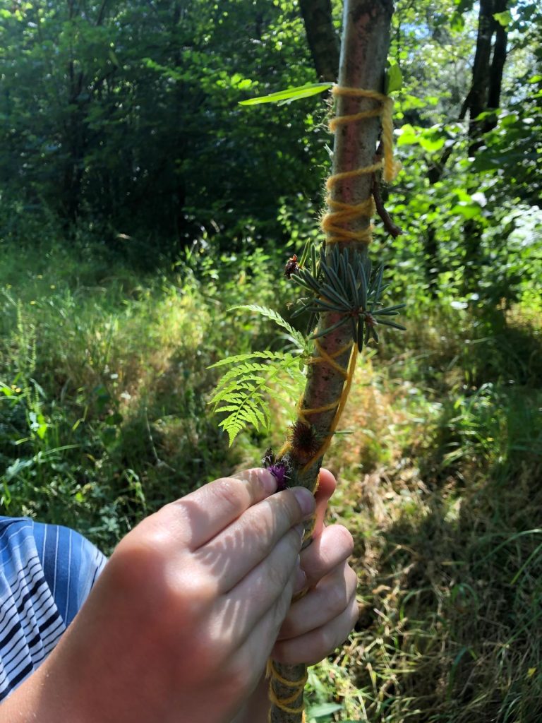 A great outdoor challenge activity - make a journey stick