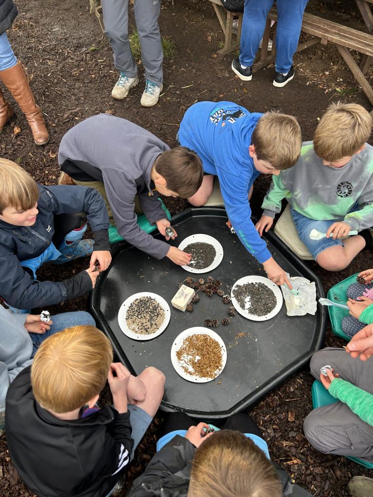 seed swap