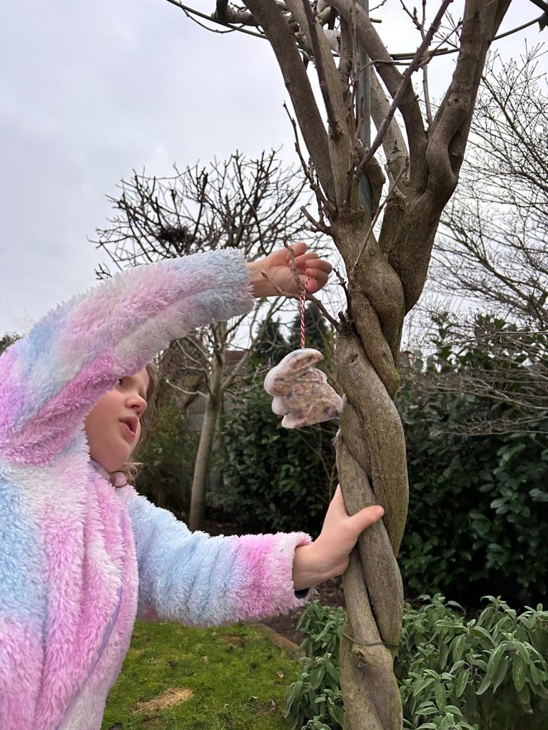 DIY bird feeders