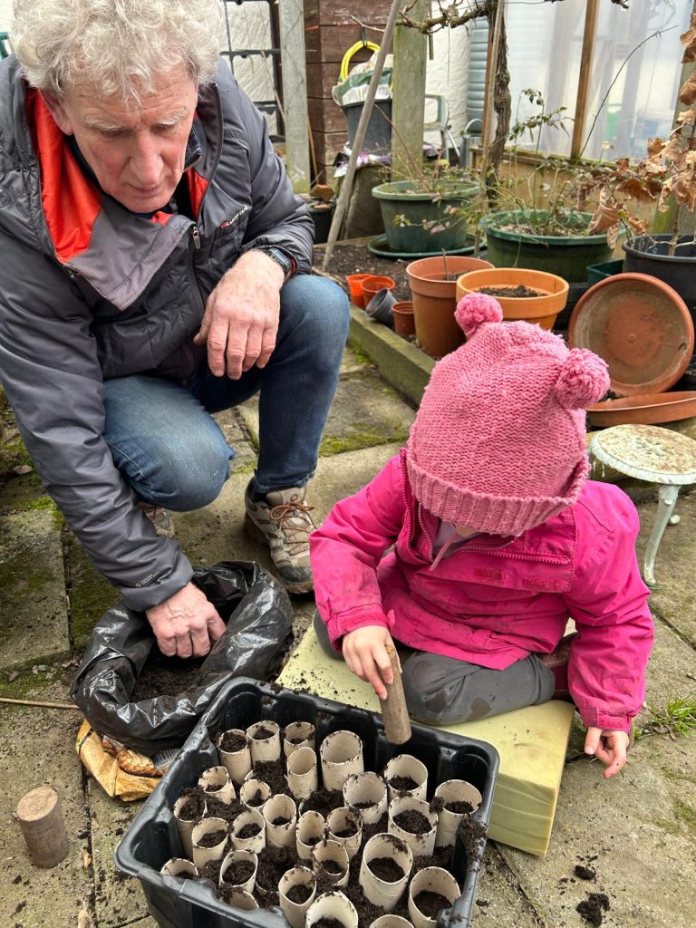 seed planting